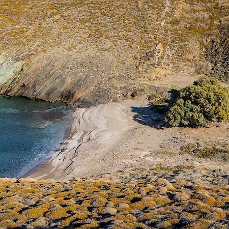 Amelia Beachfront Villa Korissia  エクステリア 写真